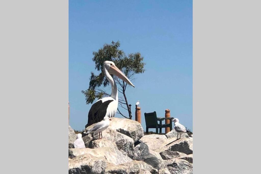 That Seaside Cottage - Fully Equipped Home, 4 Bedrooms On The Foreshore Tooradin Экстерьер фото